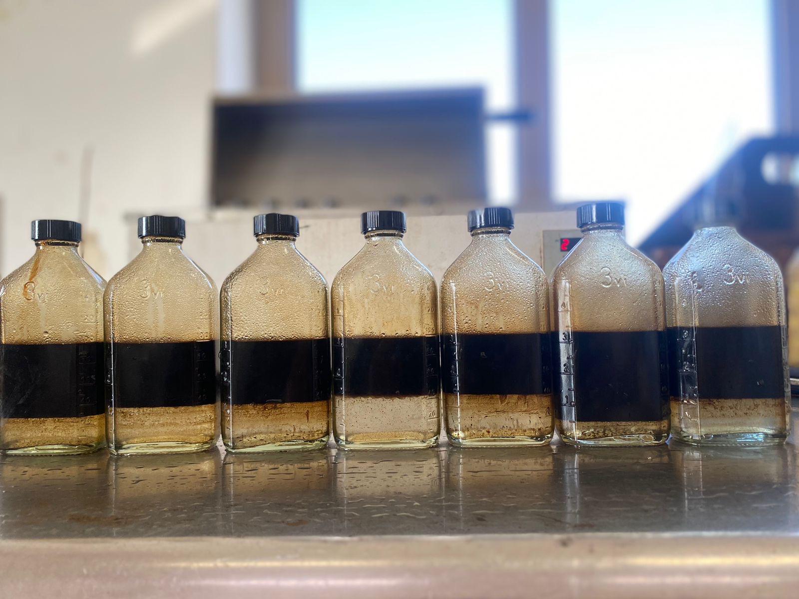 Row of seven glass bottles filled with layered dark and light liquids on a reflective surface in a bright room.