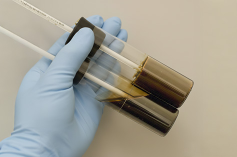 Hand in blue glove holding glass tubes with dark liquid samples against beige background